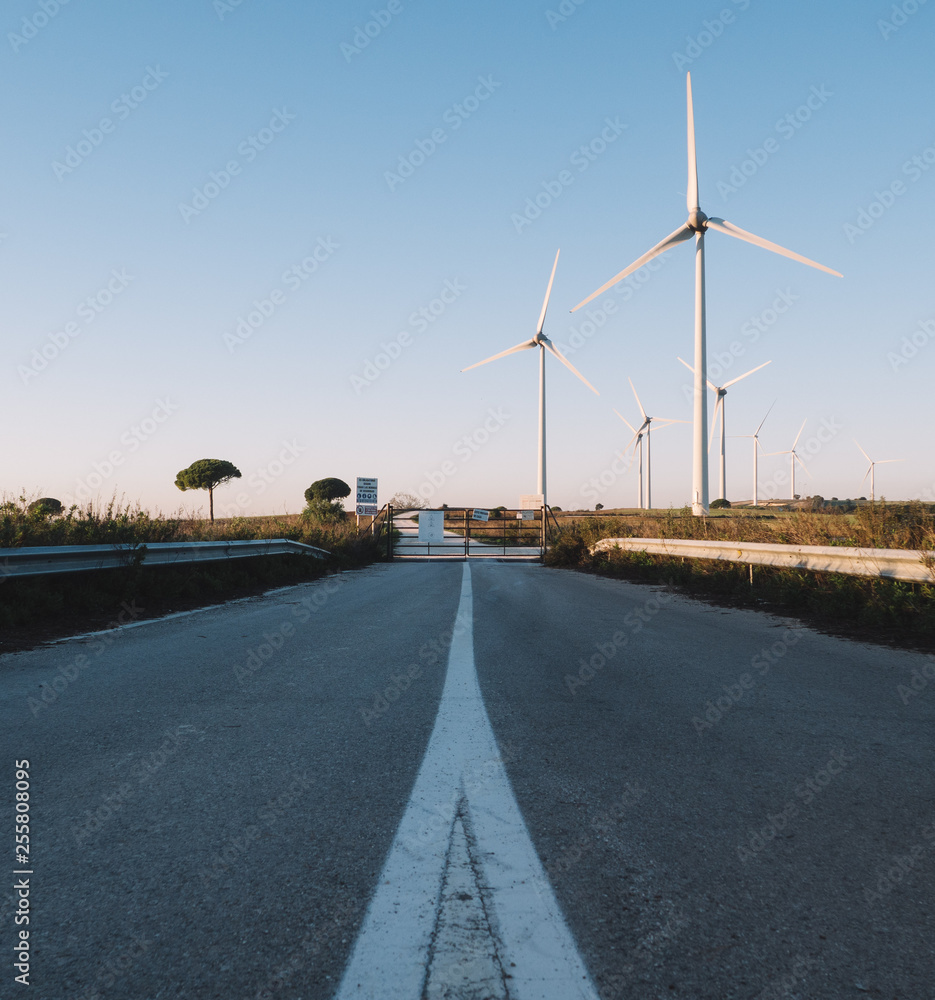 Wind turbine field in Cadiz