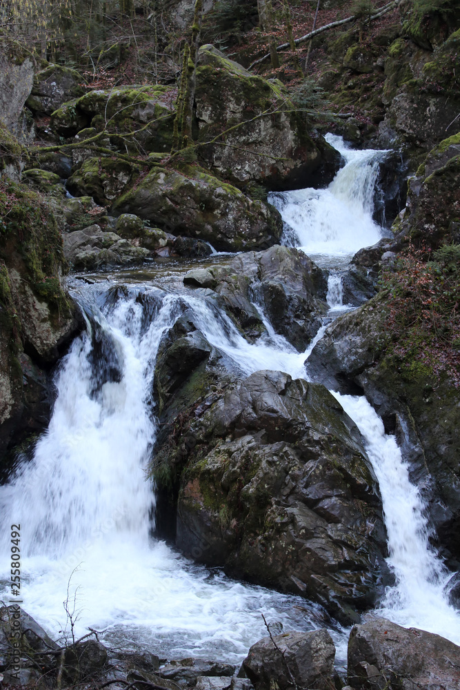 ruisseau/cours d'eau- tendon -88