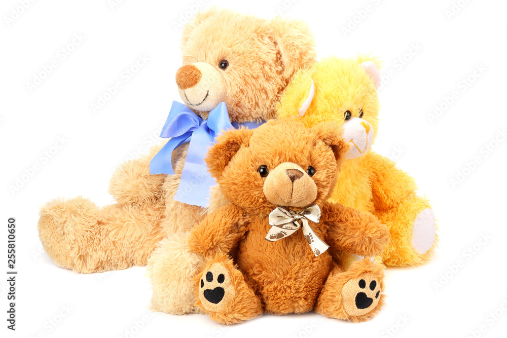 three toy teddy bears isolated on white background