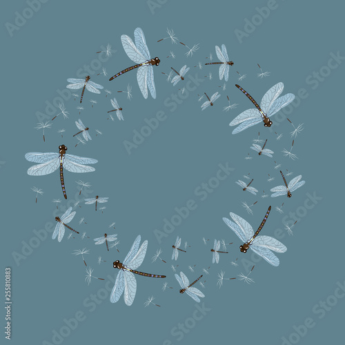 abstract vector dragonfly s and dandelion seeds frame .