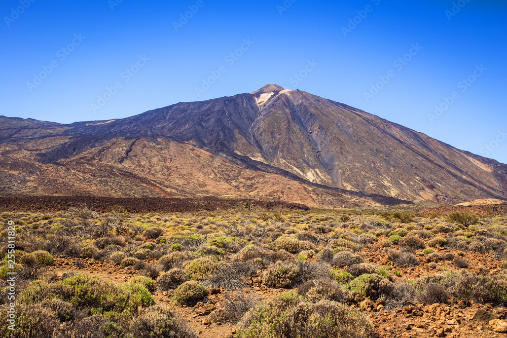 Beautiful landscape of Teide national park, Tenerife, Canary island, Spain Beautiful landscape of Teide national park, Tenerife, Canary island, Spain