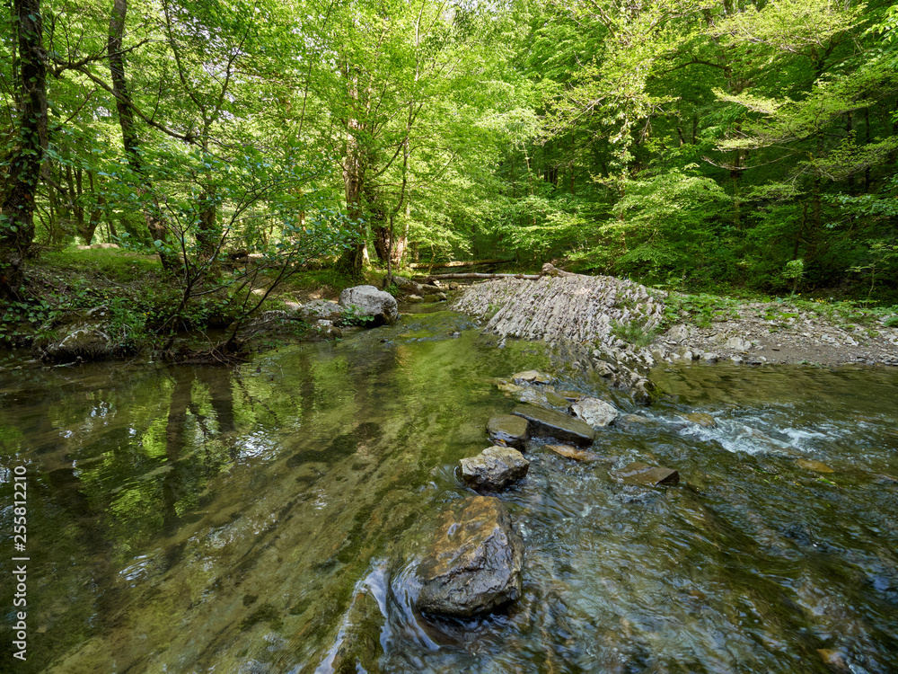 The mountain river in a stony channel flows through a dense green forest. The mountain river in a stony channel flows through a dense green forest.