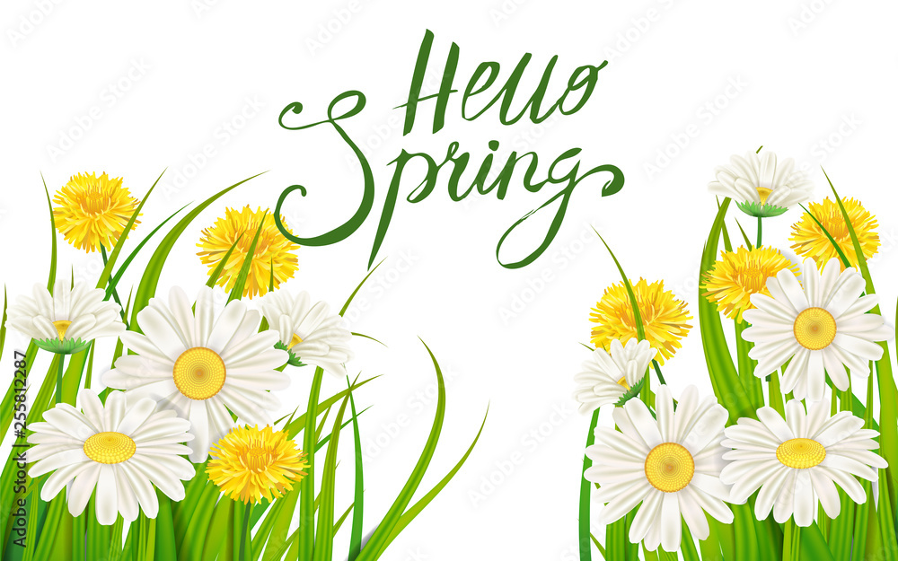 Hello Spring banner. Hand drawn lettering. Background with chamomile, daisy. Spring Time template, flyer, posters, brochure. Happy spring Day. Fashionable styling. Flower vector isolated Hello Spring banner. Hand drawn lettering. Background with chamomile, daisy. Spring Time template, flyer, posters, brochure. Happy spring Day. Fashionable styling. Flower vector isolated