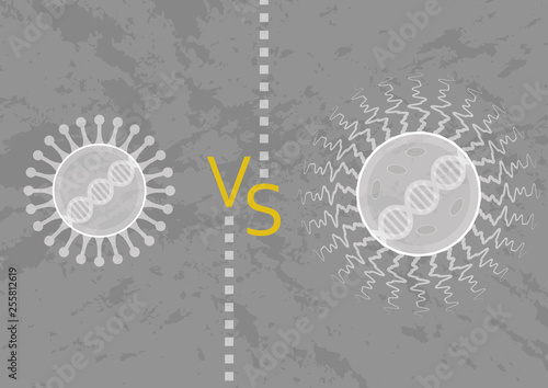 Microorganism: virus and bacteria. Their differences in cellular structure, actions, metabolism, genetics and behaviour