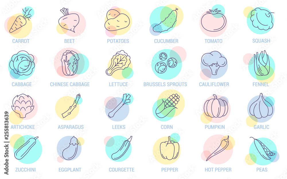  vegetables vector icon set