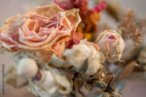 Withered bouquet of roses. Art photography. Roses flowers decoration on a wooden table. Floral wallpaper blurry background. Toned image. Macro. Closeup. Soft focus.