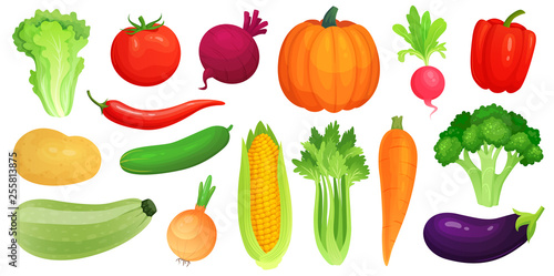Cartoon vegetables. Fresh vegan veggies, raw vegetable green zucchini and celery. Lettuce, tomato and carrot vector illustration set