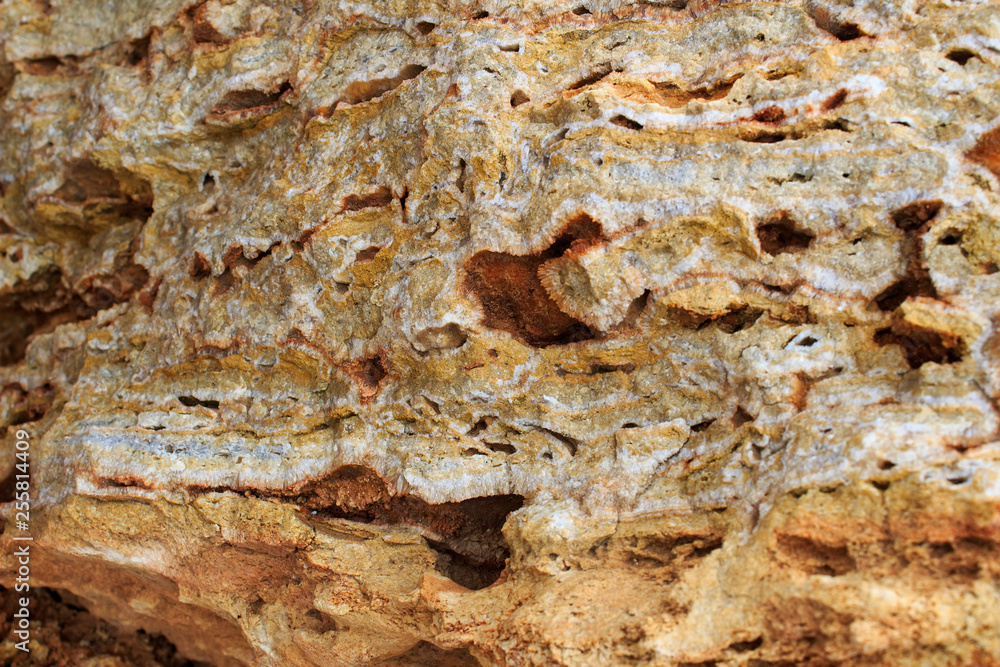 Rock, layeres structure, warm brown, yellow, red shades. Rock, layeres structure, warm brown, yellow, red shades.