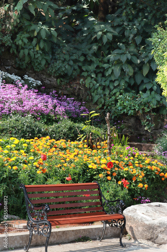 Garden bench in the park flower colorful image background.