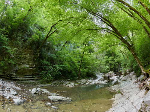 The mountain river in the rocky gorge is surrounded by a green forest.