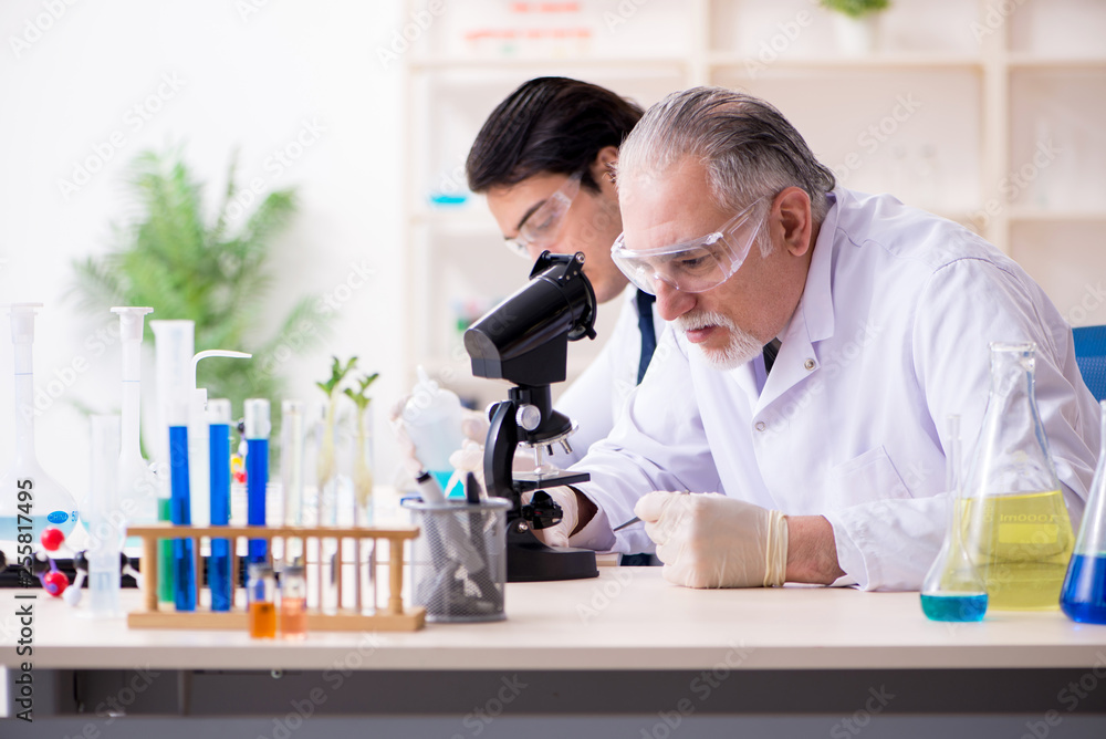 Two chemists working in the lab Two chemists working in the lab