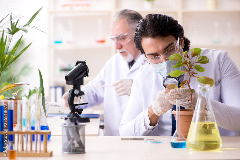 Two chemists working in the lab Two chemists working in the lab