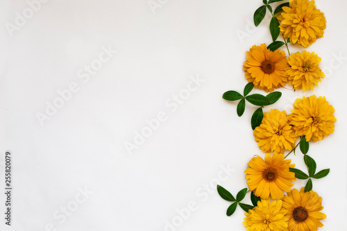 Border with sunflowers. Isolated on white background