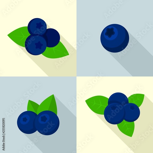 Bilberry icons set. Flat set of bilberry vector icons for web design