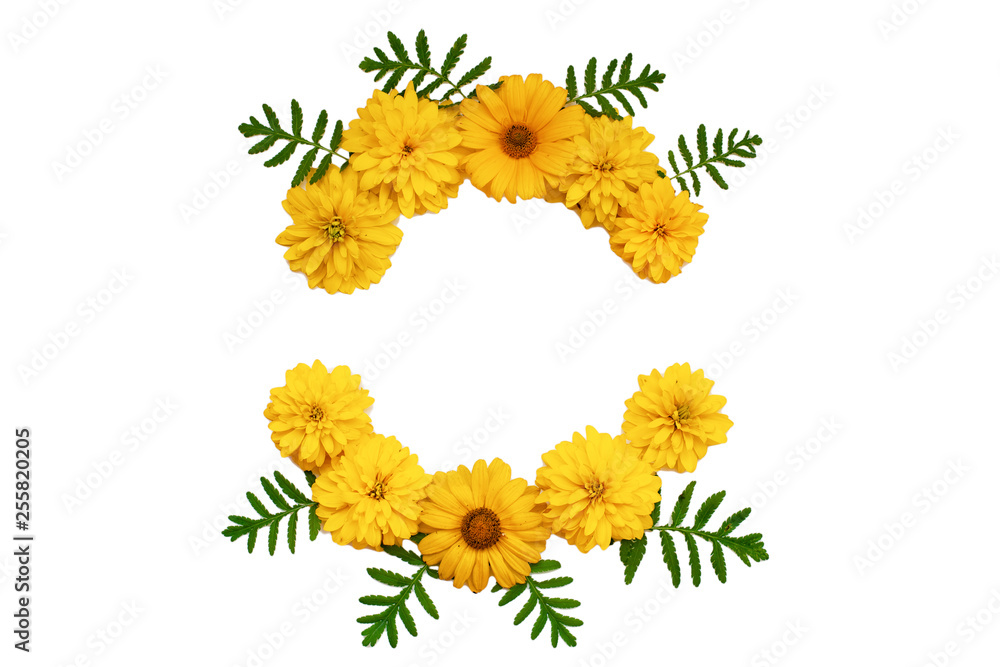 Circle frame of yellow flowers isolated