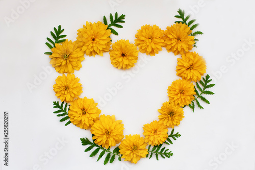 Heart shaped frame of yellow flowers isolated