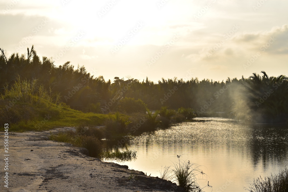 Fototapeta premium view from lakeside 