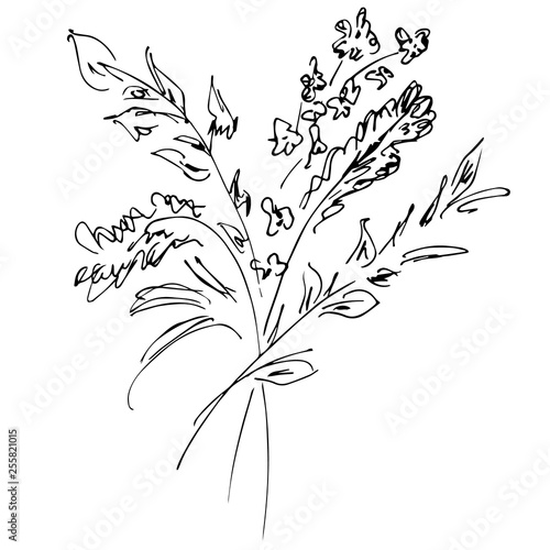 Fototapeta Naklejka Na Ścianę i Meble -  Hand Drawn Vector Illustrations Of Abstract Bouquet of Flowers Isolated on White. Hand Drawn Sketch of a Flowers