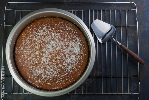 VISTA CENITAL DE BIZCOCHO DE YOGUR CON VIRUTAS DE COCO SOBRE BANDEJA METÁLICA DE HORNO