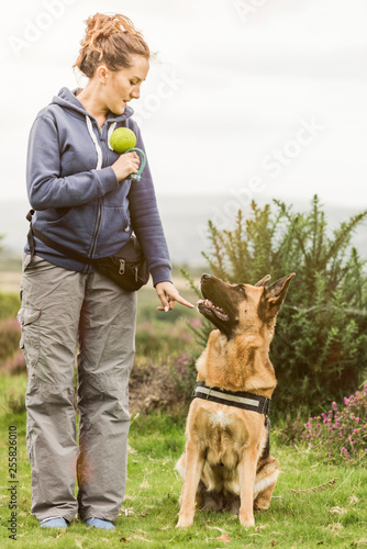 Active woman training session with dog outdoor © marcin jucha
