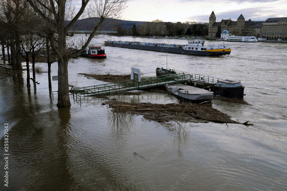 Tankfrachter auf dem Rhein bei Koblenz bei leichtem Hochwasser und Überflutung des Uferwegs - Stockfoto