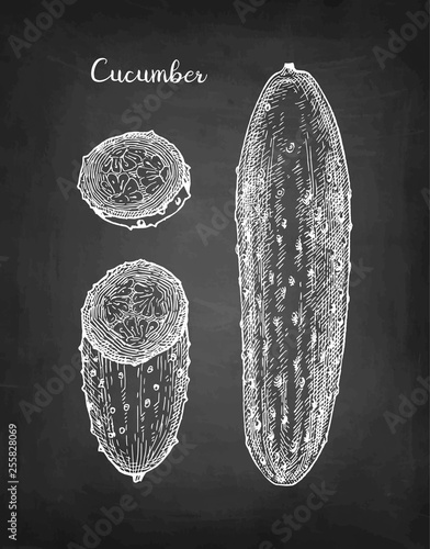 Chalk sketch of cucumber.