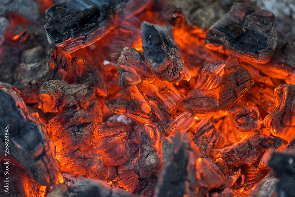 burning coals burning coals