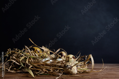 Quail eggs in nest from straw on wooden table