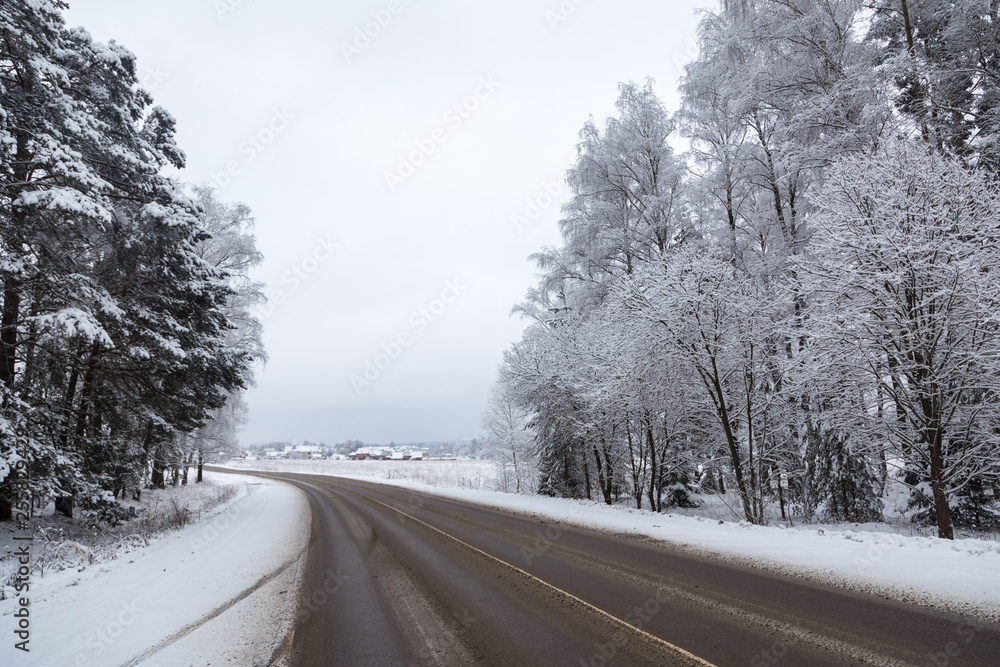 Obraz premium road in winter forest