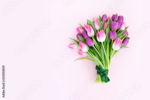 Pink fresh tulips #255830039