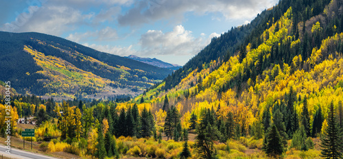 Brilliant Golden Autumn Aspen Trees in Vail Colorado  photo