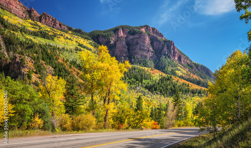 Golden Autumn Aspen near Redstone Colorado - Scenic Highway 133