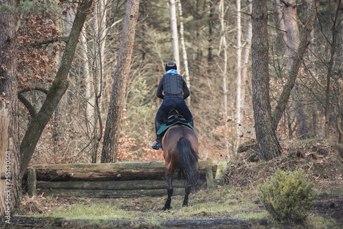 Reiterin springt mit ihrem Pferd von der Kamera abgewand über einen Baumstamm