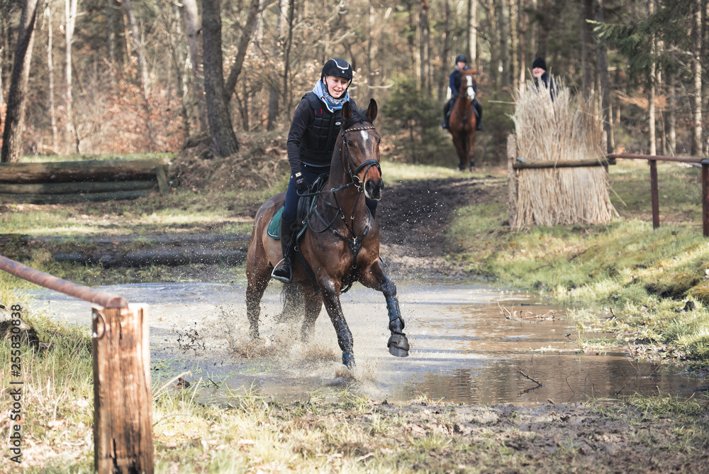 Pferd galoppiert durch das Wasser Pferd galoppiert durch das Wasser