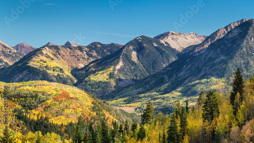 Golden Autumn Aspen at McClure Pass - Colorado Rocky Mountains