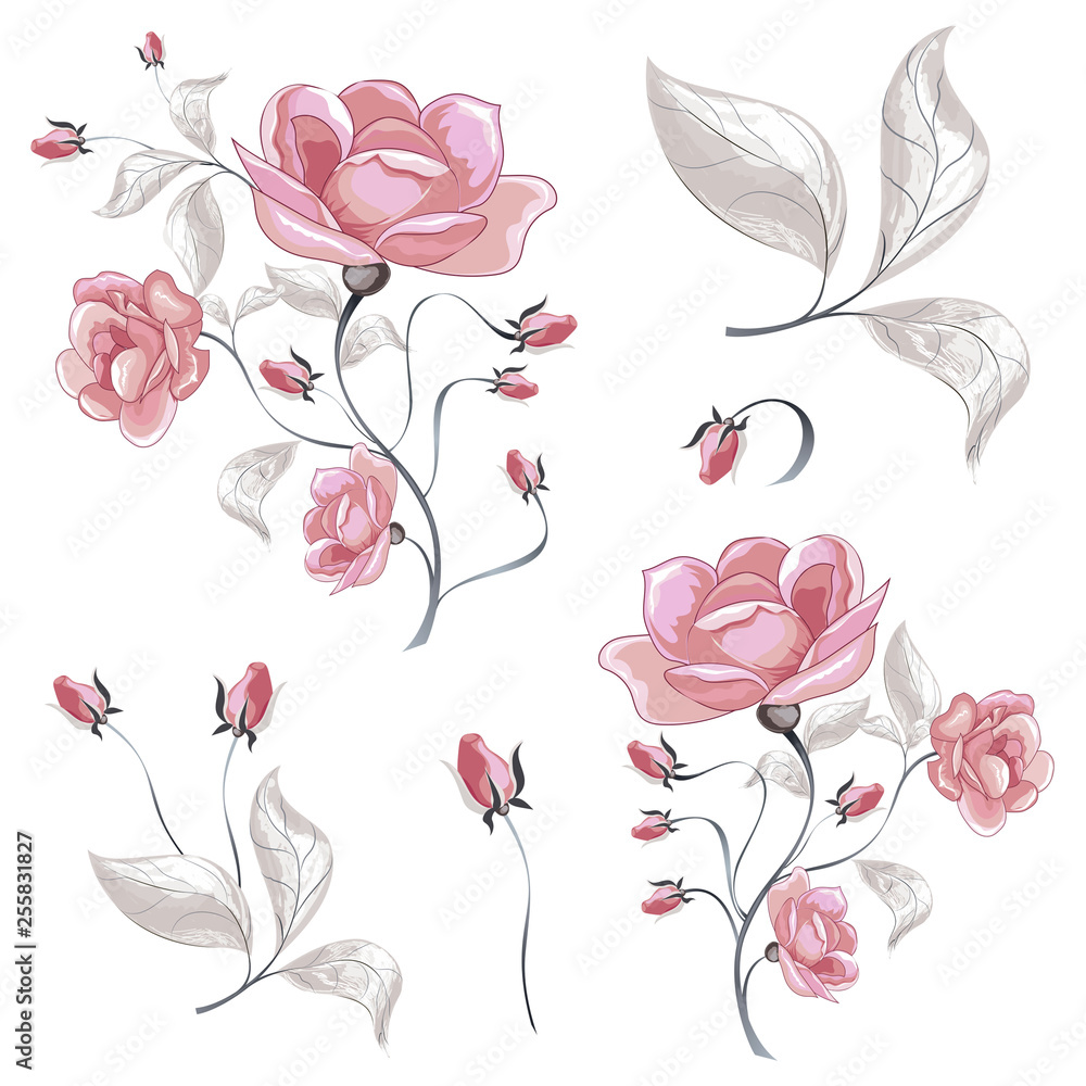 Roses. Set of spring-summer flowers of bouquets of pink plants. Vector image.
