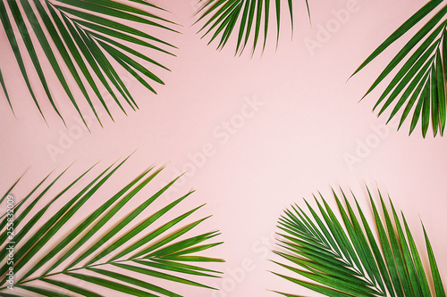 Tropical green palm leaves on pastel pink background. Minimal nature summer concept. Top view  flat lay  copy space.