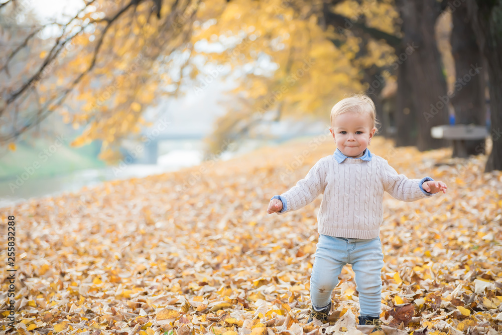 Beautiful baby boy walking throw the autumn leaves at the park. Beautiful baby boy walking throw the autumn leaves at the park.