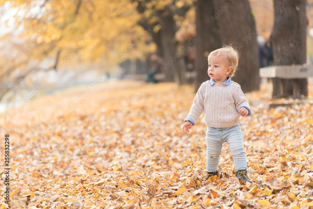Beautiful baby boy walking throw the autumn leaves at the park. Beautiful baby boy walking throw the autumn leaves at the park.