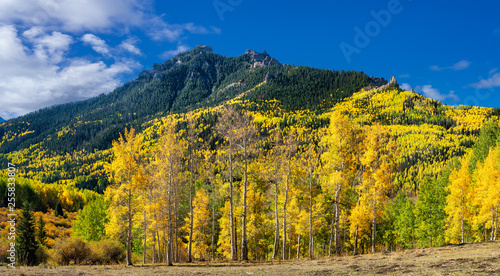 Autumn at Silver Jack Reservoir near Ridgway Colorado Rocky Mountains