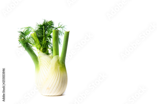 Fennel isolated on a white background. The concept of eating vegetables, using vegetables for dishes. Dish for a vegetarian, vegan. Healthy nutrition, eating vitamins.
