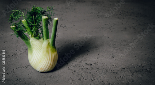 Fennel isolated on a stone counter top, background. The concept of eating vegetables, using vegetables for dishes. Dish for a vegetarian, vegan. Healthy nutrition, eating vitamins.