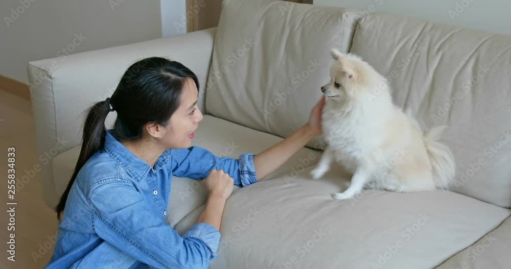 Woman cuddle her Pomeranian dog at home Woman cuddle her Pomeranian dog at home