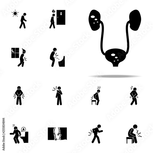 kidney, stone icon. Pain People icons universal set for web and mobile
