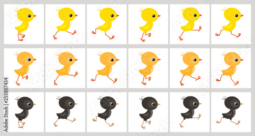 Running colorful chickens animation sprite sheet isolated on white background photo