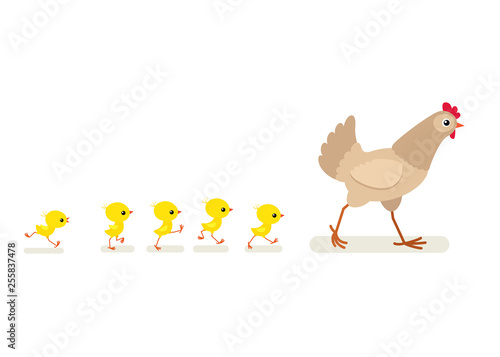 Illustration of walking hen and chicks isolated on white background