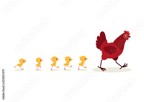 Illustration of walking red hen and chicks isolated on white background