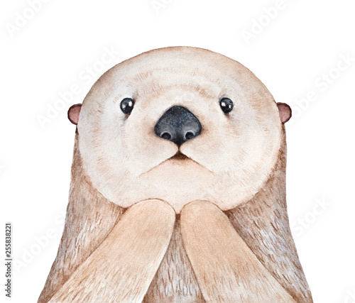 Cute fluffy little Sea Otter (Enhydra lutris) character. Looking at camera, astonished facial expression. Symbol of playfulness and family. Handdrawn water color graphic illustration, cutout element.