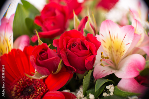 Red Roses Bouquet