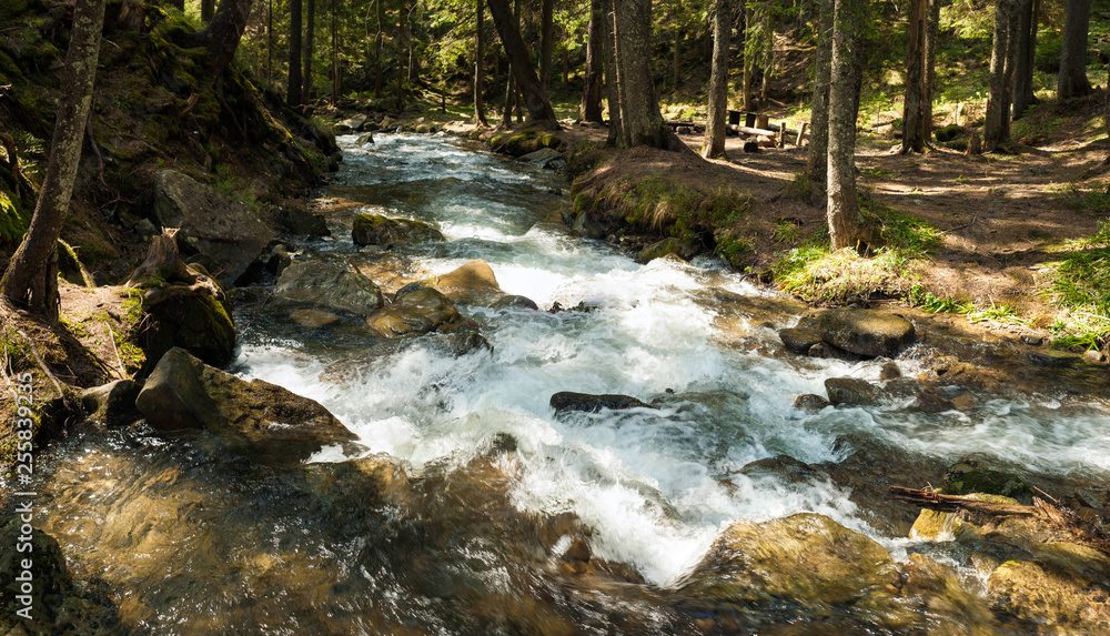 Mountain river in the mountains of the Carpathians in early spring. Small river deep in the forest in the rays of the spring sun.